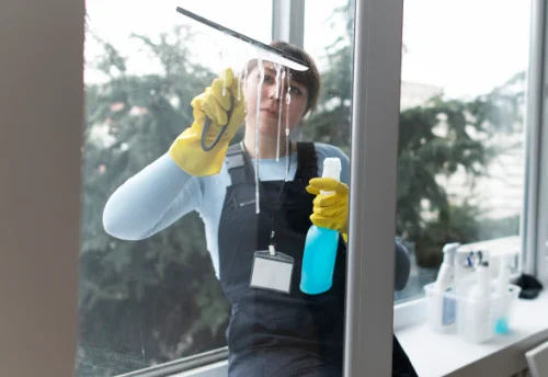 Nettoyage de vitres intérieures et extérieures à Vouzon